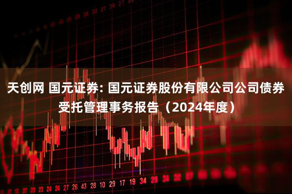 天创网 国元证券: 国元证券股份有限公司公司债券受托管理事务报告（2024年度）