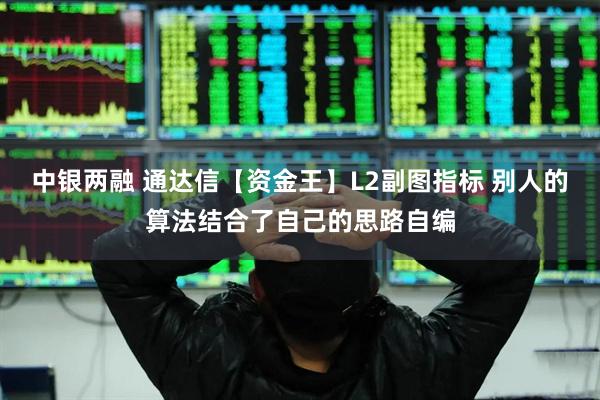 中银两融 通达信【资金王】L2副图指标 别人的算法结合了自己的思路自编